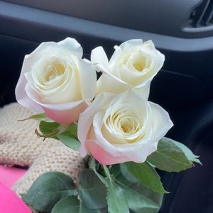 Meet your Posher, Adrianna